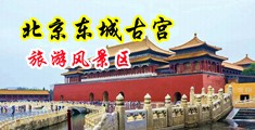 操美女骚逼爽中国北京-东城古宫旅游风景区